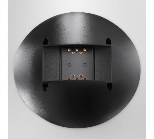 Подвесной светильник Maytoni Campana TR127B-12W3K-W