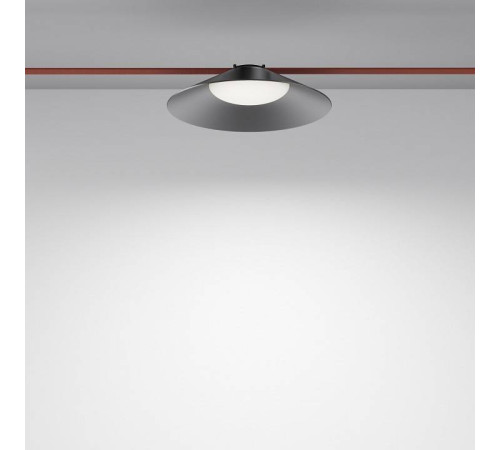 Подвесной светильник Maytoni Campana TR127B-12W4K-B