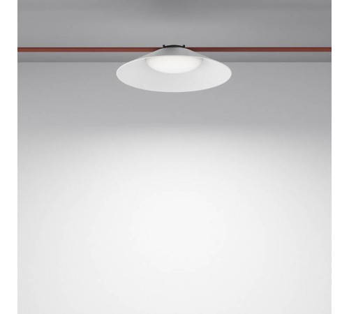 Подвесной светильник Maytoni Campana TR127B-12W4K-W