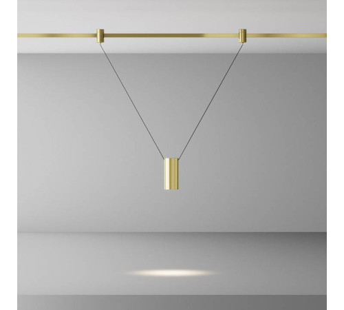 Подвесной светильник Maytoni Focus Led TR157-1-12W4K-BS