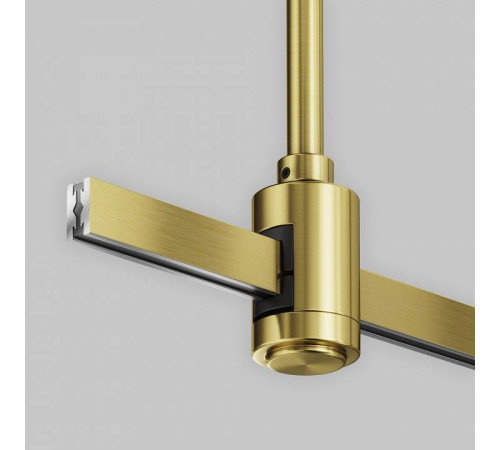Основание на штанге Maytoni Accessories for tracks Flarity TRA158С-SL1-BS