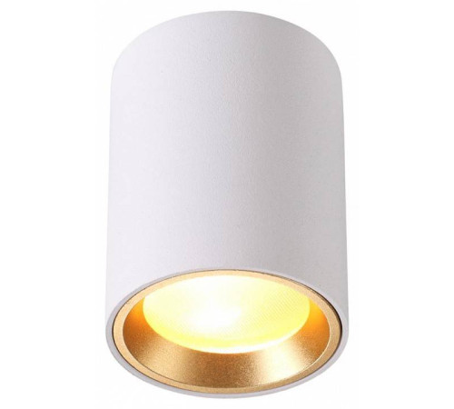 Накладной светильник Odeon Light Aquana 4206/1C