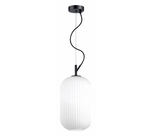 Подвесной светильник Odeon Light Roofi 4751/1