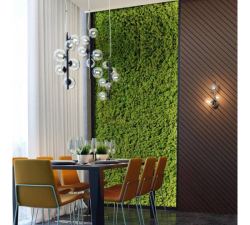 Бра Odeon Light Tovi 4818/3W