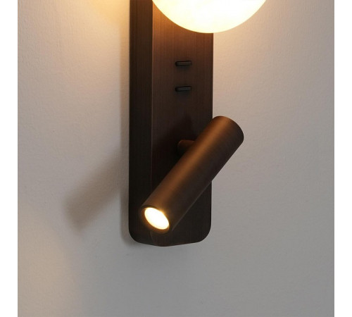 Бра с подсветкой Odeon Light Albergo 7163/9WL