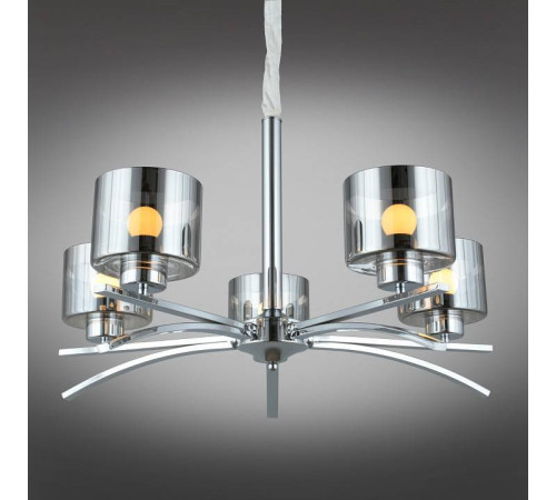 Подвесная люстра Omnilux Alassio OML-55803-05