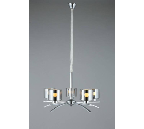 Подвесная люстра Omnilux Alassio OML-55803-05