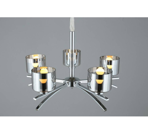 Подвесная люстра Omnilux Alassio OML-55803-05