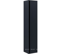 Пенал Allen Brau ACTIVITY 35 см R антрацит матовый/черный браш 1.34001.AM