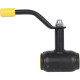 Кран шаровой стальной BROEN Ballomax DN 25 PN 40 резьбовой с рукояткой 300178
