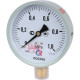 Манометр радиальный РОСМА ТМ-510Р.00 100 мм 1 МПа G1/2 00000006819