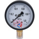 Манометр радиальный РОСМА ТМ-310Р.00 63 мм 1 МПа G1/4 00000009573
