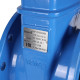 Задвижка с обрезиненным клином Tecofi VOC4241C Ду 250 Ру 16 VOC4241C-00EP0250