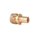 Переходник с внутренней резьбой REHAU RAUTITAN RX+ 25-Rp 3/4 14563313001