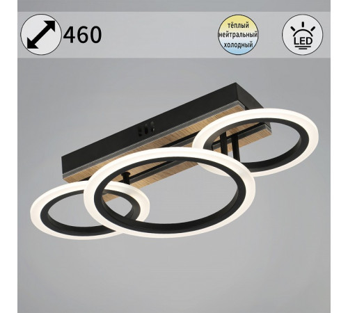 Потолочная люстра 00330-0.3-2+1