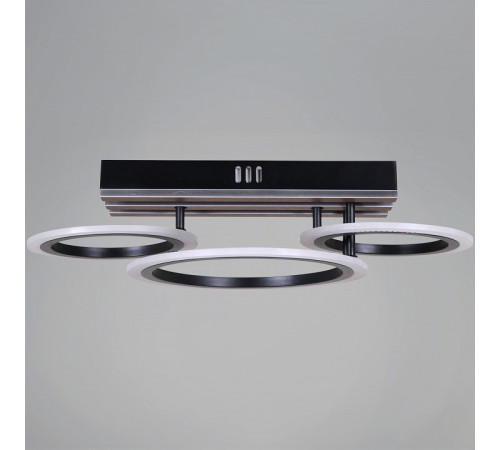 Потолочная люстра 00330-0.3-2+1