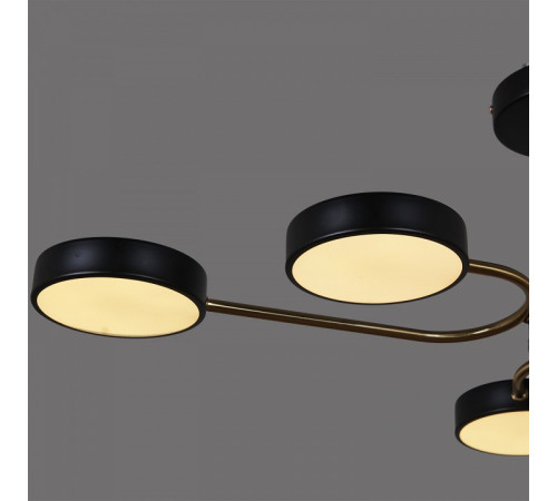 Люстра на штанге 03325-0.3-06 BK+COPPER