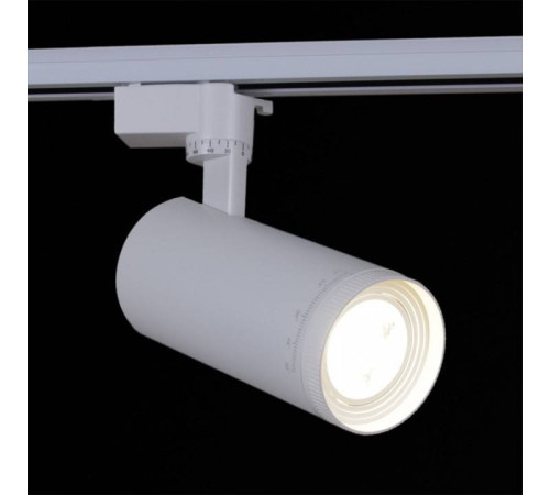 Светильник на штанге Reluce 05830-9.3-001QY LED30W WT