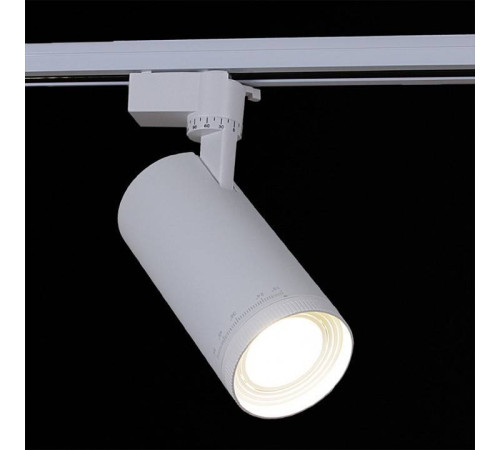 Светильник на штанге Reluce 05830-9.3-001QY LED30W WT