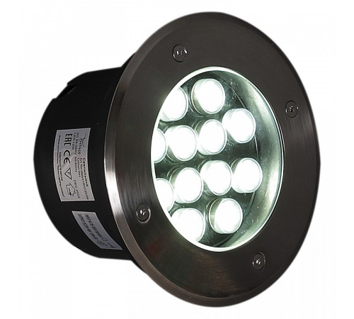 Встраиваемый в дорогу светильник 09403-0.7-001U LED12W WH