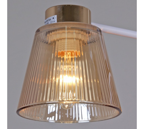 Люстра на штанге 20560-0.3-03 WH+FG