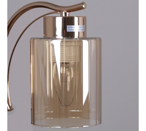 Потолочная люстра 35670-0.3-04