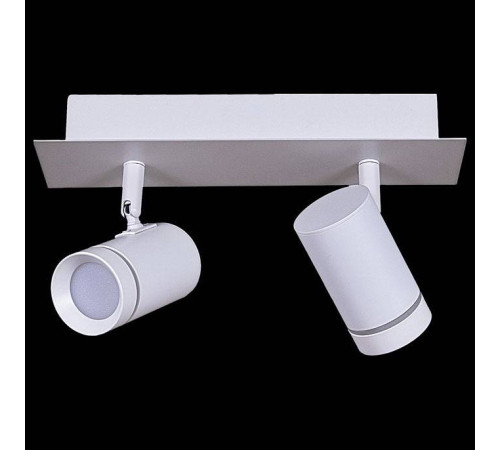 Спот Reluce 84281 84281-9.5-002RT LED2*5W WT