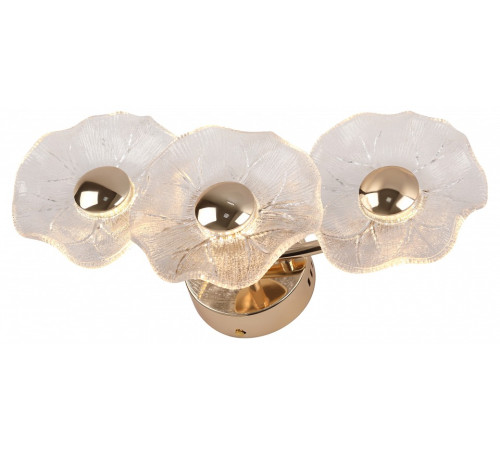 Накладной светильник Rivoli Shannon Б0061948