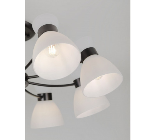 Люстра на штанге Rivoli Aemilia 9185-308