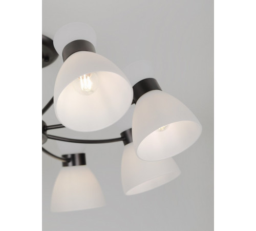 Люстра на штанге Rivoli Aemilia 9185-308