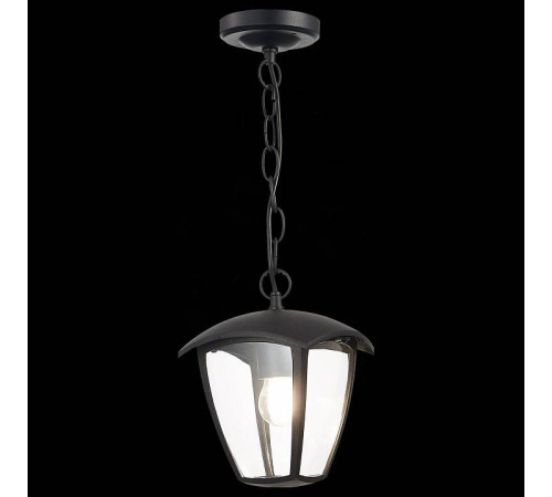 Подвесной светильник ST-Luce Sivino SL081.403.01