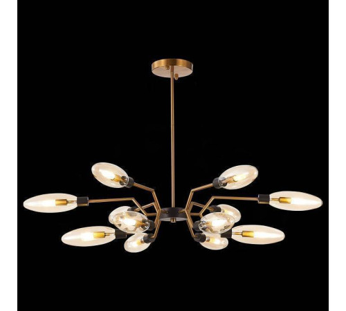 Потолочная люстра ST-Luce Desima SL1174.303.12