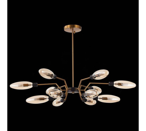 Потолочная люстра ST-Luce Desima SL1174.303.12