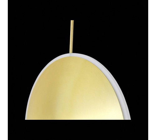 Подвесной светильник ST-Luce Imente SL1221.213.01