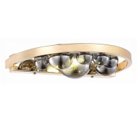 Бра ST-Luce Olmi SL1510.201.01