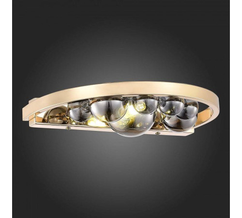 Бра ST-Luce Olmi SL1510.201.01