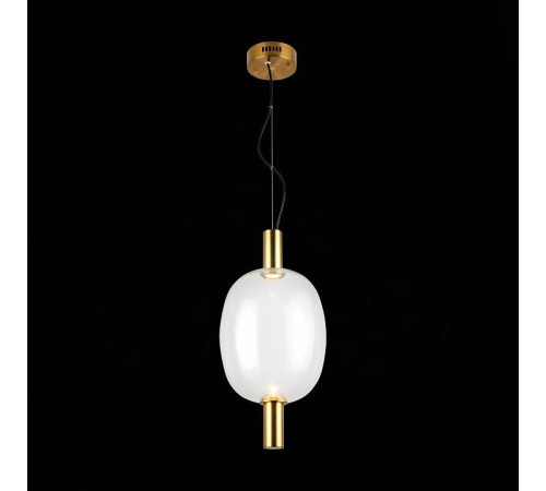 Подвесной светильник ST-Luce Allenore SL1582.313.01