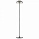 Торшер ST-Luce Lacio SL6002.405.01