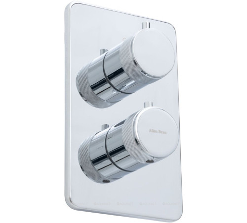 Термостат Allen Brau Priority V.1 Vernet Easy box хром 5.31113-00