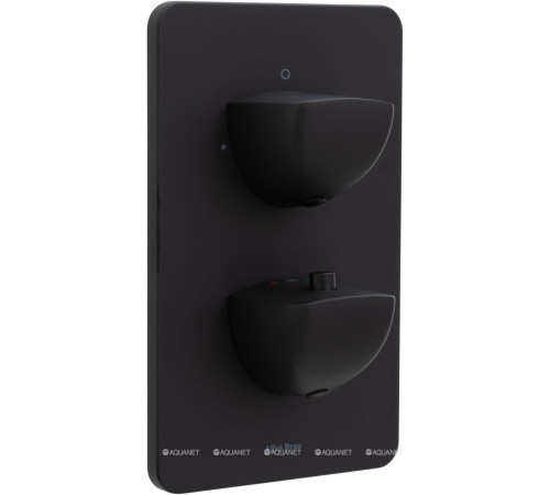 Термостат для душа Allen Brau INFINITY V.2 скрытого монтажа черный матовый 5.21216-31