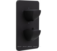 Термостат для душа Allen Brau INFINITY V.3 скрытого монтажа черный матовый 5.21316-31