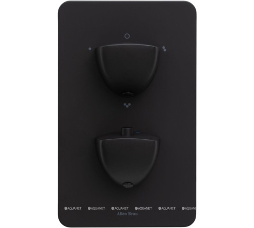 Термостат для душа Allen Brau INFINITY V.3 скрытого монтажа черный матовый 5.21316-31