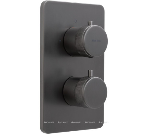 Термостат Allen Brau Priority V.2 Vernet Easy box брашированный графит 5.31213-MG