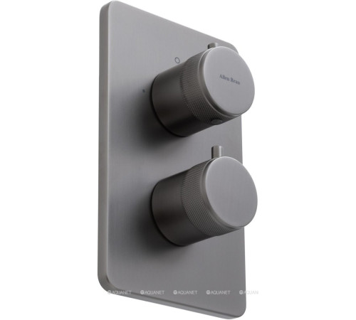 Термостат Allen Brau Priority V.2 Vernet Easy box брашированный графит 5.31213-MG