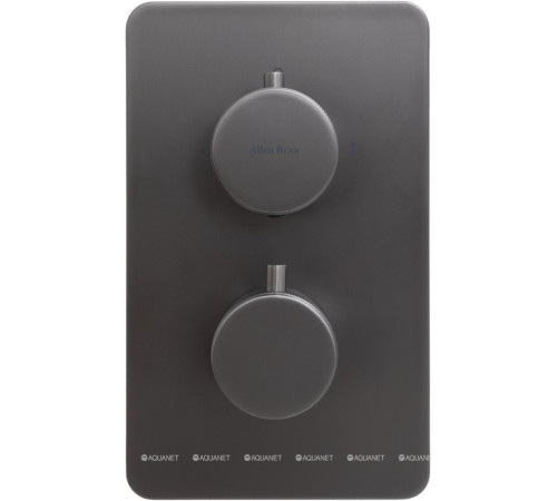 Термостат Allen Brau Priority V.2 Vernet Easy box брашированный графит 5.31213-MG