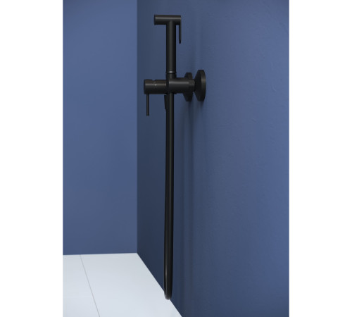 Гигиенический душ со смесителем RGW SP-215B черный 581408215-04