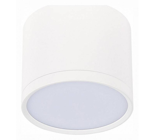 Накладной светильник ST-Luce Rene ST113.532.09