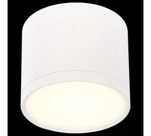 Накладной светильник ST-Luce Rene ST113.532.09