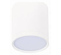 Накладной светильник ST-Luce Rene ST113.542.05