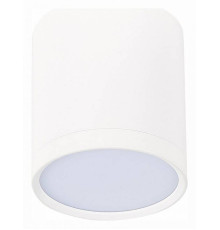 Накладной светильник ST-Luce Rene ST113.542.05